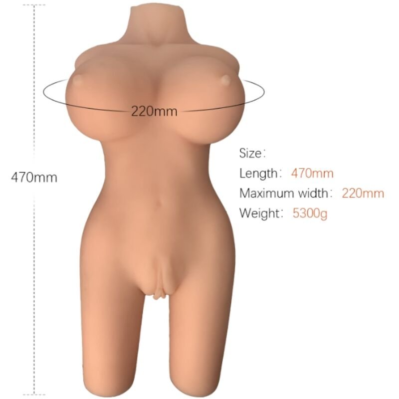 ARMONY - REALISTIC FEMALE TORSO MODEL 6 - Image 2